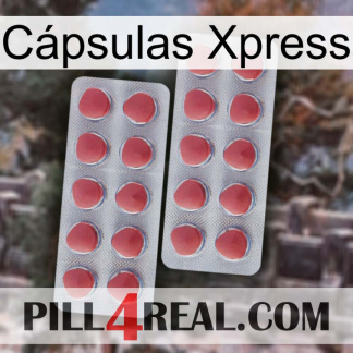 Cápsulas Xpress 19